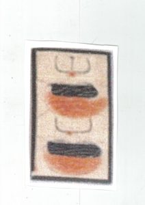 ‘2 of Koppu’, Thvnberg’s Carta.